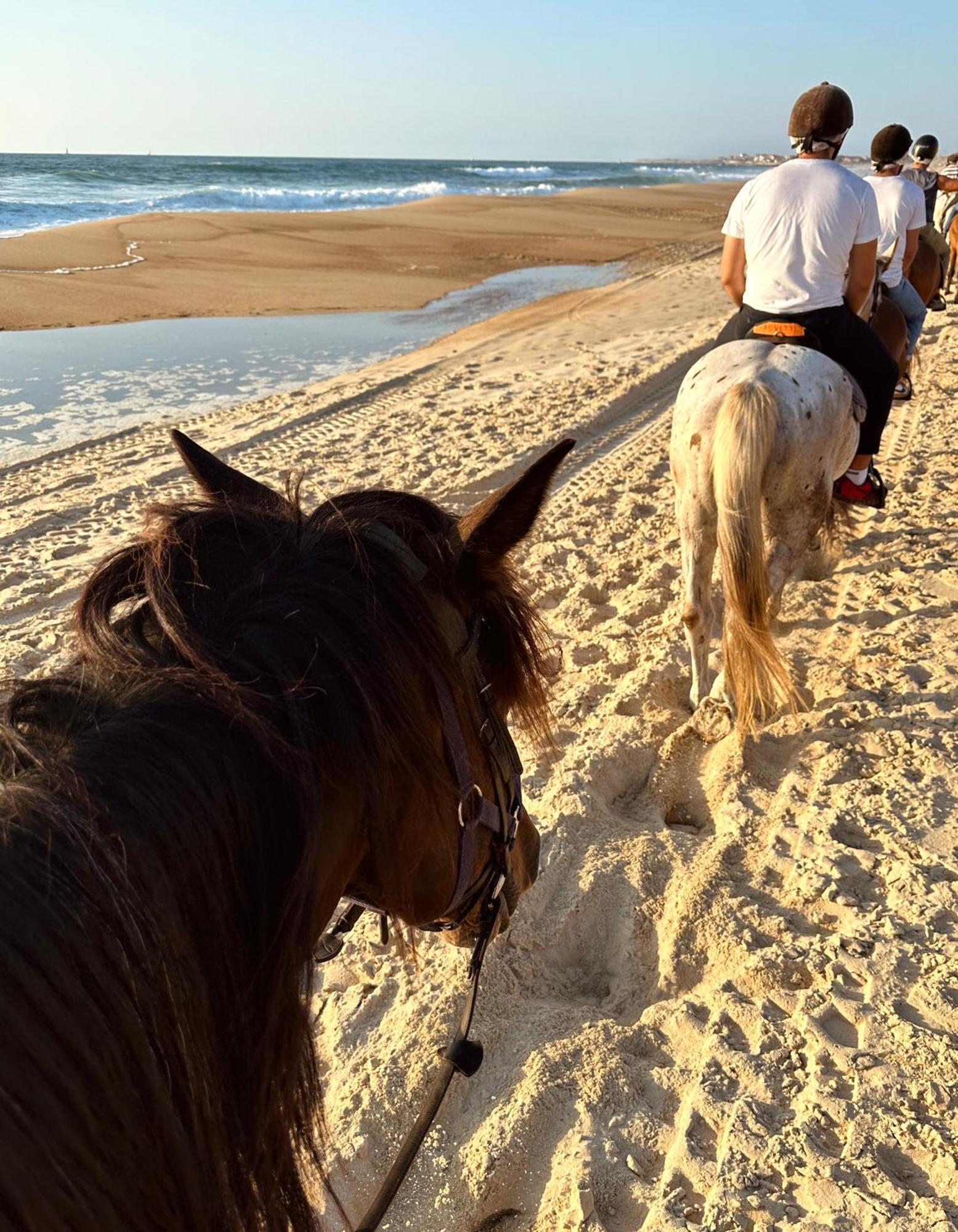 فندق Aparra Surfcamp كابروتو المظهر الخارجي الصورة